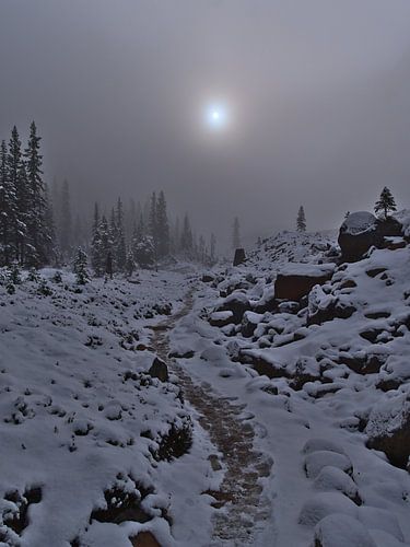 Randonnée hivernale