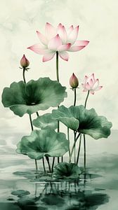 Lotus Träume