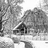 Winterbild mit Schnee im Garten des St. Antonius-Krankenhauses in Leeuwarden. von Harrie Muis