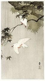Oiseaux sous la pluie (1900 - 1936) par Ohara Koson sur Studio POPPY