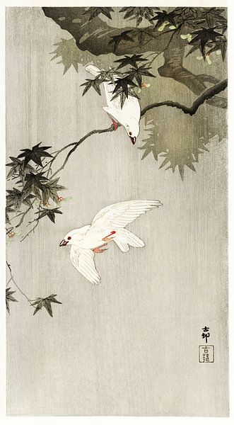 Birds in rain (1900 - 1936) by Ohara Koson by Studio POPPY