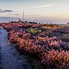 Heide pad op de archemerberg van peterheinspictures