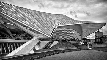 Treinstation Guillemins @ Luik van Rob Boon