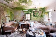 Salon à Vervalde. par Roman Robroek - Photos de bâtiments abandonnés Aperçu