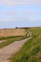 road to freedom