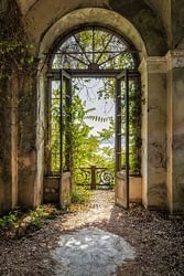 Seeblick Lago Maggiore