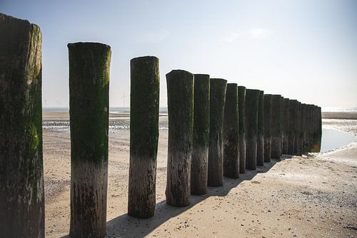 Houten palen in schuin perspectief op het strand
