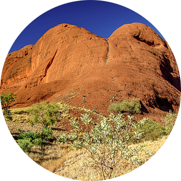 Indrukwekkende rotsen in het nationaal park Kata Tjuta, Australië van Rietje Bulthuis