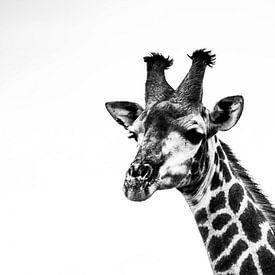 Giraffe in zwart en wit van Marit van de Klok