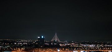 De grootste kerstboom van de wereld