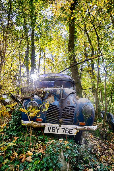 1950 Ford Taunus by Brigitte Mulders