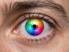 Colorful Iris by Markus Gann