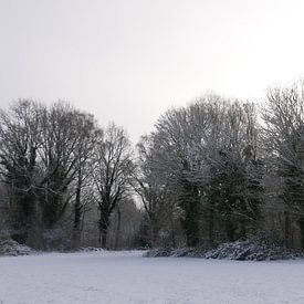 Eichen mit Efeu im Schnee von Wim vd Neut