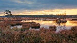 Zonsopkomst in het Nationaal Park Dwingelderveld van Henk Meijer Photography