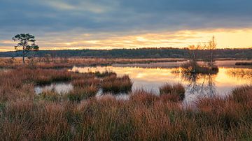 Sunrise in the Dwingelderveld National Park by Henk Meijer Photography