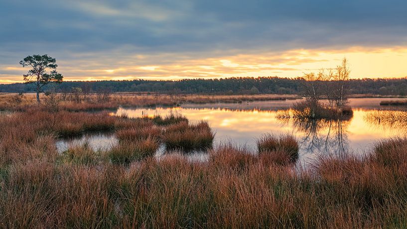 Lever de soleil dans le parc national de Dwingelderveld par Henk Meijer Photography