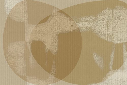 Organische ovalen in kalm beige