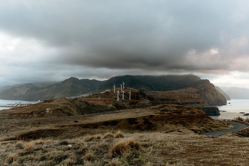 Madeira van Myrthe Vlasveld