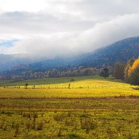Symphony of light and autumn colors by AS Photography