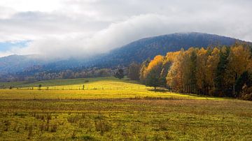Symphonie aus Licht und Herbstfarben von AS Photography