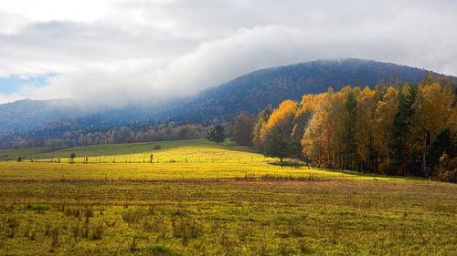 Symfonie van licht en herfstkleuren