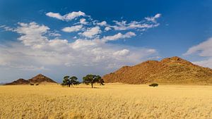 In de uitgestrektheid van Namibië van Denis Feiner