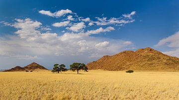 Dans l'immensité de la Namibie sur Denis Feiner