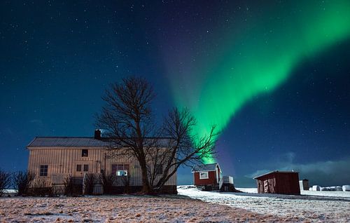 Holdøya, Noorwegen - XI