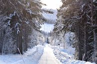 Lapland weg van Christer Andersson thumbnail