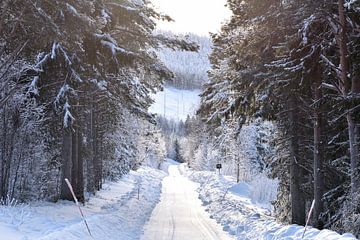 Lapland weg van Christer Andersson