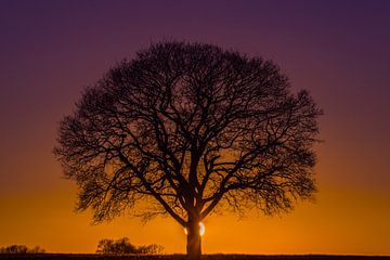 Coucher de soleil 3 sur Bertram Bergink