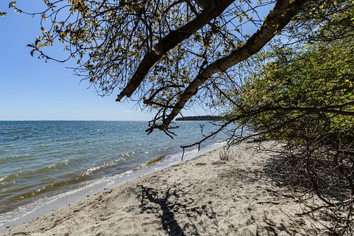 Aan de kust in de Goor, Vilmeiland, Lauterbach op Rügen