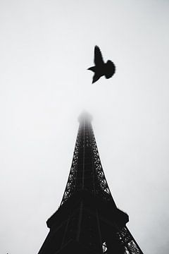 Oiseaux d'Eiffel II sur Studio Nieuwland