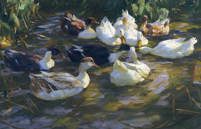 Ducks in the pond (ducks near the stream), ALEXANDER KOESTER, around 1909-1913 by Atelier Liesjes