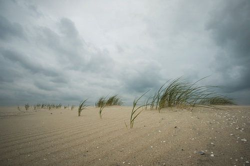 Strandweer