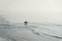 Allons surfer