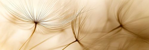 Pflanzenstruktur Beige