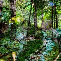 Fairy Tale Forest I