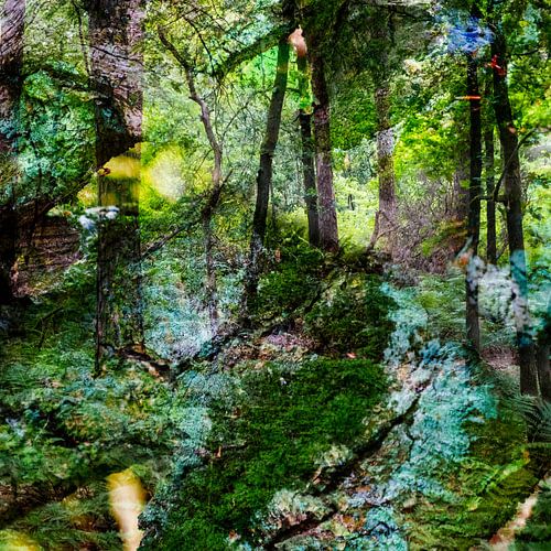 Forêt des contes de fées I