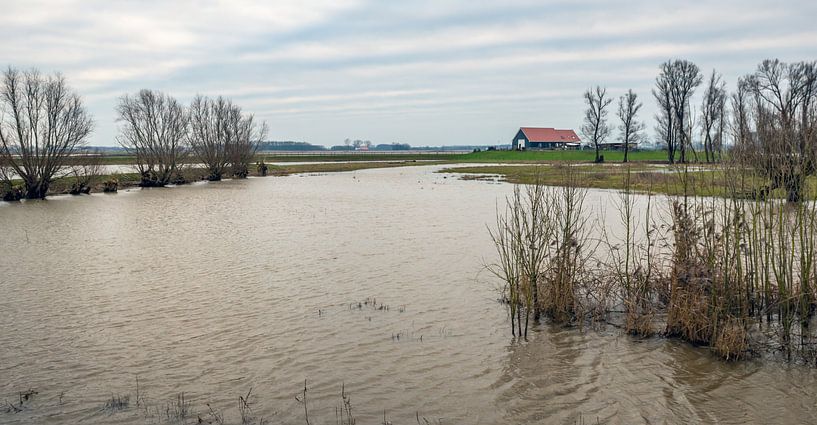 L'eau dans le polder de Noordwaard par Ruud Morijn