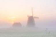 Windmolen De Koker in Wormer tijdens zonsopkomst in nevel van Pieter Struiksma thumbnail
