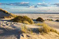 Landscape with dunes on the island Amrum