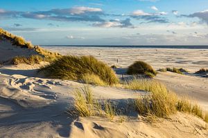 Landschaft mit Dünen auf der Insel Amrum von Rico Ködder