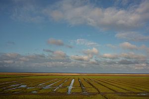 Kwelders in Noord-Groningen van Bo Scheeringa Photography