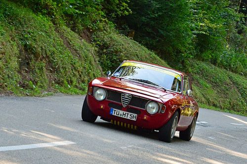 Alfa Rome Sprint GT Eggberg Classic 2019