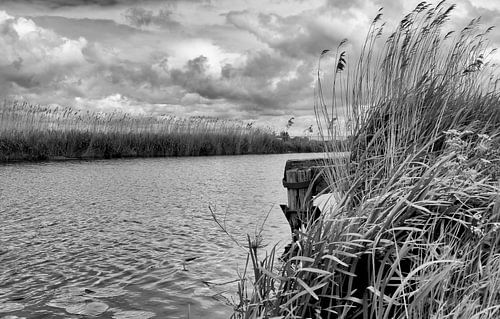 Zwart/Wit Fotografie - Nieuwkoopse plassen...