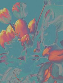 Digital bearbeitete orangefarbene Tulpen, künstlerisches Bild, farbenfroh von Ria Bense