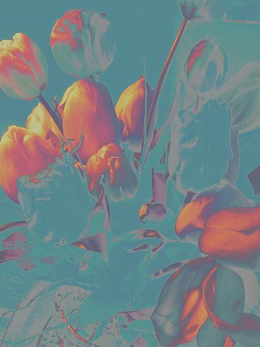 Digital bearbeitete orangefarbene Tulpen, künstlerisches Bild, farbenfroh