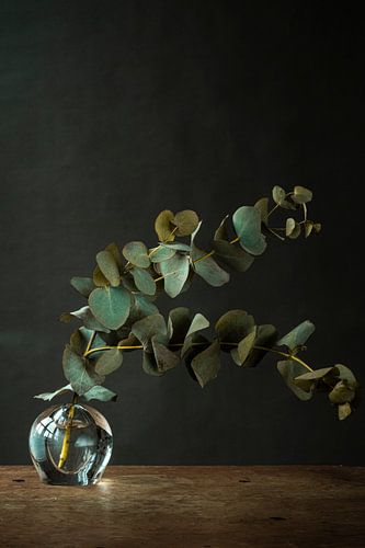 Foto print | takken met blauw groene bladeren in vaasje | botanisch