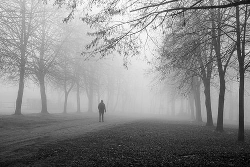 de eenzame man in het mistige bos